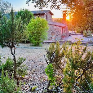 Giove Umbria Historic Stone Farmhouse With Pool And Detached Apartments For A Total Of 12 Guests Exterior photo