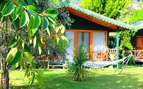 Etenna Beach Bungalows Cirali Exterior photo