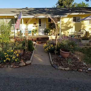 Yosemite Plaisance Bed & Breakfast Bed & Breakfast Mariposa Exterior photo