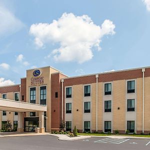 Comfort Suites Rensselaer Near Fair Oaks Exterior photo