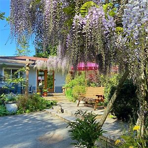 Wisteria Guest House Ganges Exterior photo