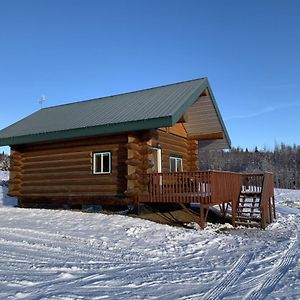 The Chena Valley Cabin, Perfect For Aurora Viewing Villa Pleasant Valley Exterior photo