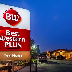 Best Western Plus Tree House Hotel Mount Shasta Exterior photo