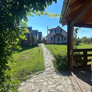 Family Mountain Cottage Cartisoara Exterior photo