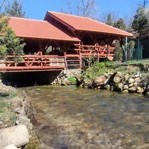 Zubor Vrela Hotel Despotovac Exterior photo