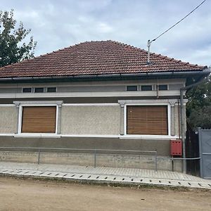 Casa Lucian Apartment Cartisoara Exterior photo