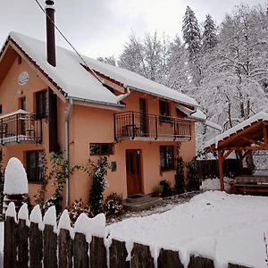 Casa Iulia & Matei Villa Cartisoara Exterior photo