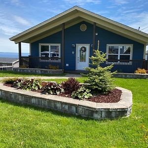 Belle Vue Cottage - Upper Island Cove Exterior photo