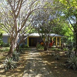 Hospedaje Frente A La Playa Huehuete Apartment Tupilapa Exterior photo