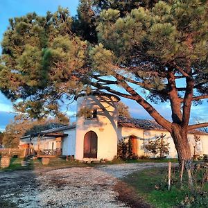 Le Castel De Lamothe Villa Sauternes Exterior photo