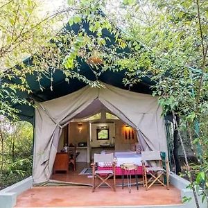 Giraff Maasai Mara Home Stay&Safaris Sekenani Exterior photo