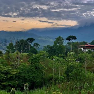 Casa Quetzal: Jungle Retreat Hotel Baru Exterior photo