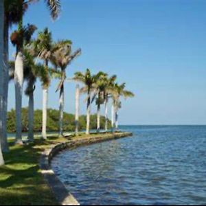 My Garden In Miami Florida Apartment Palmetto Bay Exterior photo