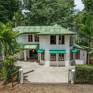 Private Jungle Home Sorrounded By Two Creeks Dominicalito Exterior photo