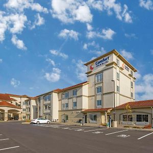 Comfort Inn & Suites Verona At Turning Stone Resort Casino Exterior photo