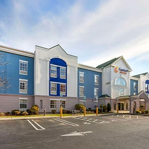 Comfort Suites East Brunswick - South River Exterior photo