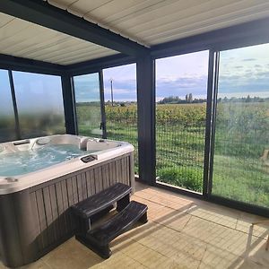 Gite Au Coeur Des Vignes, Jacuzzi Et Sauna Prives Villa Pujols-sur-Ciron Exterior photo