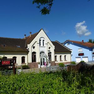 Hotel Muehleinsel Kenzingen Exterior photo