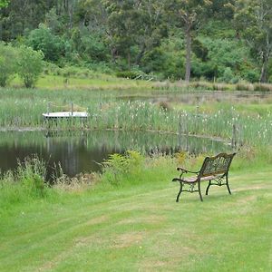 Hamlet Downs Country Accommodation Fentonbury Exterior photo