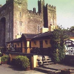 Bunratty Shannon Shamrock Hotel Exterior photo